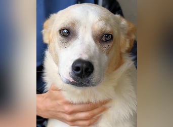 Simbad - Ein verlässlicher Partner...