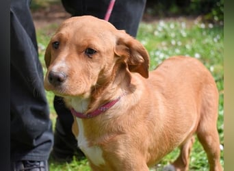 Wixelle - Als Mama noch bei uns war