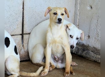 Radford - Ein Anfang, der nie kam