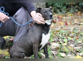 Cyrus - Vertrauen kann man lernen