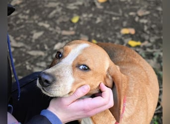 Cecilius - ein ruhiger Begleiter