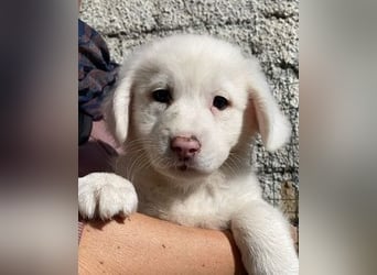 Ina - Neunmal werden wir noch wach...