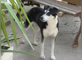 Nikita - Still, übersehen und dabei so besonders