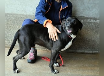 Perlyn - Charmante Ex-Sommerfigur mit Modelpotenzial