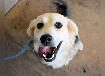 Fioralba - Fantastisches Powerpaket mit Freundlichkeitsbonus