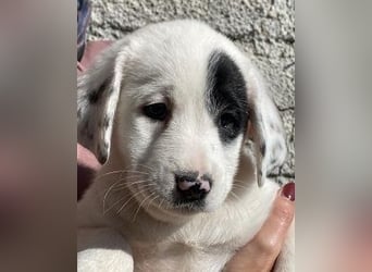 Isa - Neunmal werden wir noch wach...