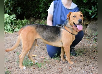 Linnea - Hauptsache ihr großes Herz passt in`s Körbchen