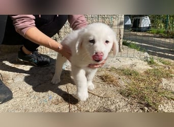 Ina - Neunmal werden wir noch wach...