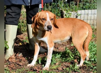 Cecilius - ein ruhiger Begleiter