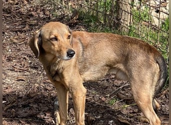 Kiro - Einmal alles auf (Neu)Anfang bitte!