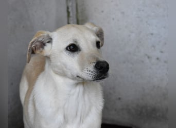 Elaro - gesucht: ein Post-it mit "Sicherheit"