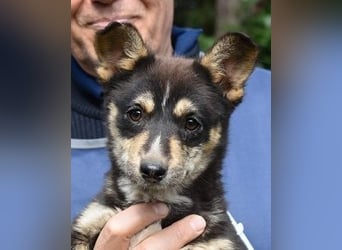 Vionella - Kuckuck...hallo...sind da draußen Menschen?