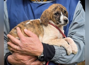 Woola - Als Mama noch bei uns war