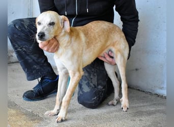 Boris - Wie lange würdest du das aushalten?