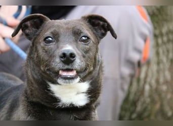 Cyrus - Vertrauen kann man lernen