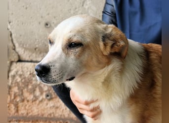 Simbad - Ein verlässlicher Partner...