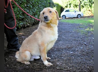 Burke - Der sanfte Bruder mit dem warmen Blick