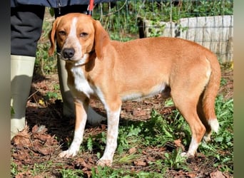 Cecilius - ein ruhiger Begleiter