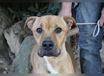 Moises - Wie kannst Du sein?