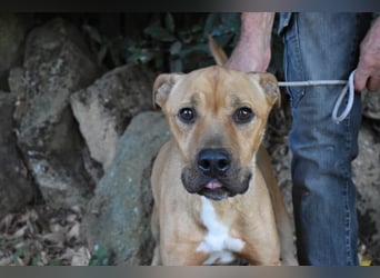 Moises - Wie kannst Du sein?