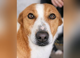 Lucius - glänzend ... nur leider am falschen Ort