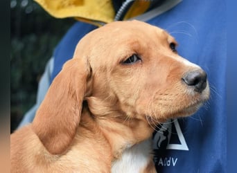 Wixelle - Als Mama noch bei uns war