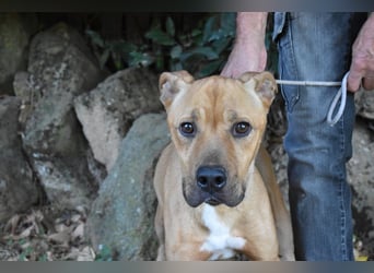 Moises - Wie kannst Du sein?