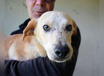 Boris - Wie lange würdest du das aushalten?