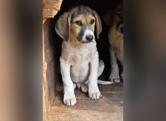 Wasker - Als Mama noch bei uns war