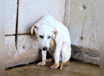 Radford - Ein Anfang, der nie kam