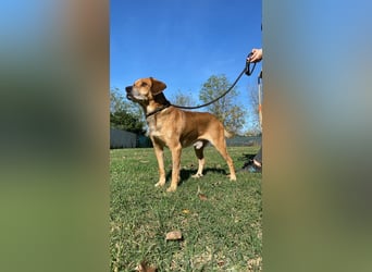 Houdini - ein frischer Wind