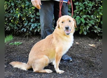 Burke - Der sanfte Bruder mit dem warmen Blick