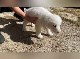 Ina - Neunmal werden wir noch wach...