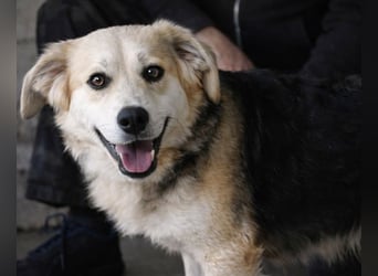 Fioralba - Fantastisches Powerpaket mit Freundlichkeitsbonus