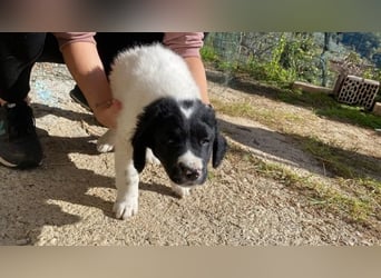 Ian - Neunmal werden wir noch wach...