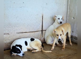 Raakel - Ein Anfang, der nie kam