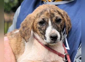 Woola - Als Mama noch bei uns war