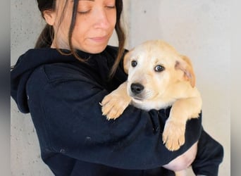 Sirette - ...und Sniffy halten zusammen