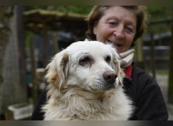 Ruby - wenn aus vorsichtigem Mut echtes Vertrauen wächst