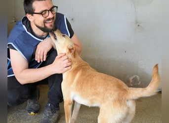 Boris - Wie lange würdest du das aushalten?