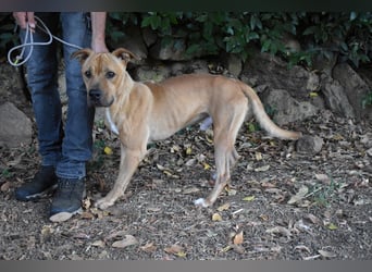 Moises - Wie kannst Du sein?