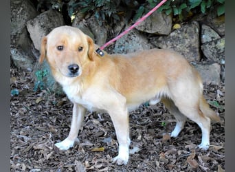 Burke - Der sanfte Bruder mit dem warmen Blick