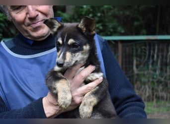 Vionella - Kuckuck...hallo...sind da draußen Menschen?