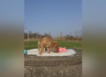 Linou - Also ehrlich, wir sind doch nur Babys!