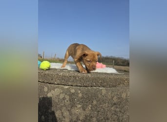 Linou - Also ehrlich, wir sind doch nur Babys!