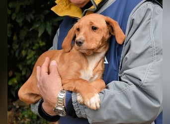 Wixelle - Als Mama noch bei uns war