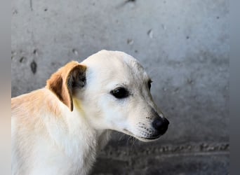 Elvio - seine Mut-Münzen sind fast aufgebraucht