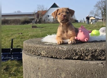 Lumi - Also ehrlich, wir sind doch noch Babys!