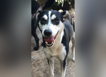 Nikita - Still, übersehen und dabei so besonders