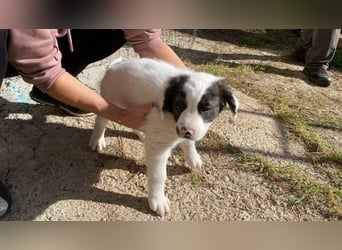 Ingo - Neunmal werden wir noch wach...